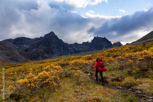 Girl Backpacking on Scenic Hiking Trail surrounded by Rugged Mountains during Fall in Canadian Nature. Taken in Tombstone Territorial Park, Yukon, Canada.