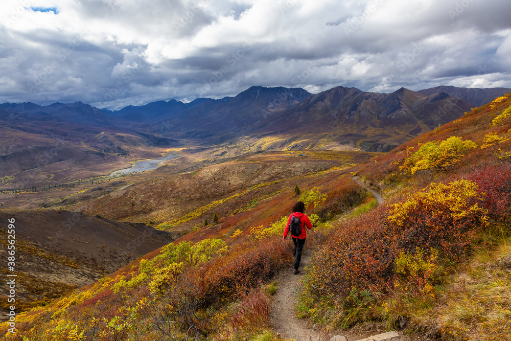 Scenic View of Woman Hiking on a Cloudy Fall Day in Canadian Nature. Taken in Tombstone Territorial Park, Yukon, Canada.