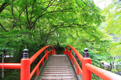 Wallpaper Mural 河鹿橋 Torontodigital.ca