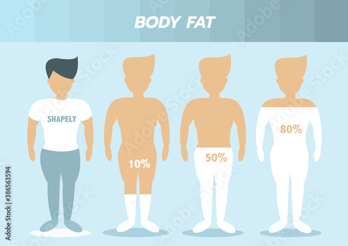 Body male types ,front human body
,body fat,Vector illustrations

