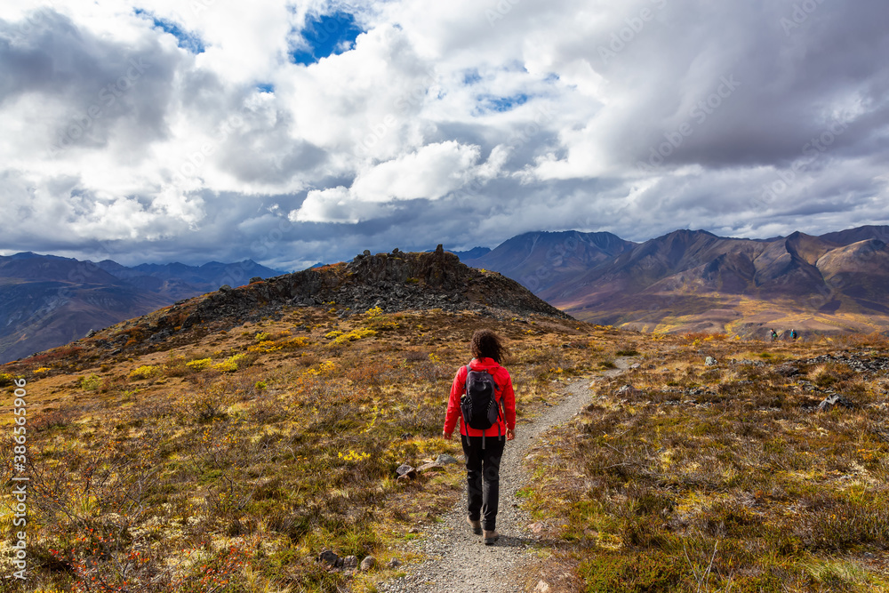 Obraz premium Scenic View of Woman Hiking on a Cloudy Fall Day in Canadian Nature. Taken in Tombstone Territorial Park, Yukon, Canada.
