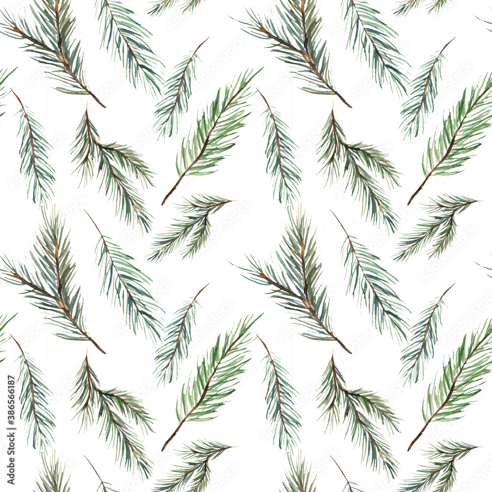 Watercolor illustration. Seamless pattern from fir branches on a white background. Watercolor seamless design with branches of coniferous plants. Background for fabric, paper, print