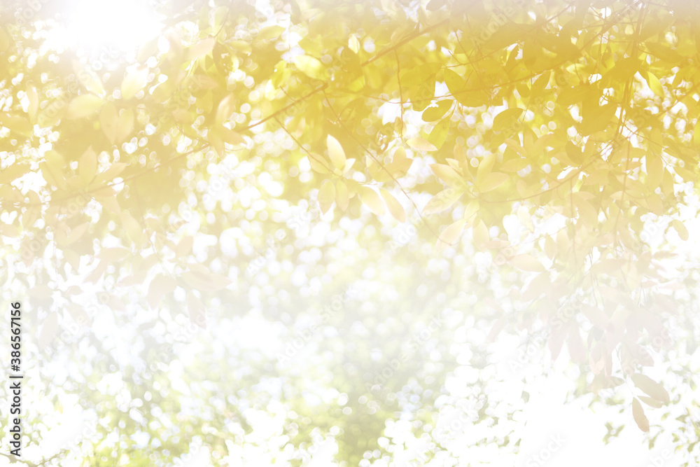 abstract nature background abstract nature background