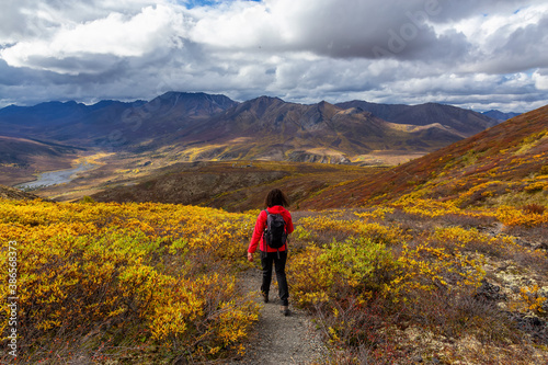 Scenic View of Woman Hiking on a Cloudy Fall Day in Canadian Nature. Taken in Tombstone Territorial Park, Yukon, Canada.
