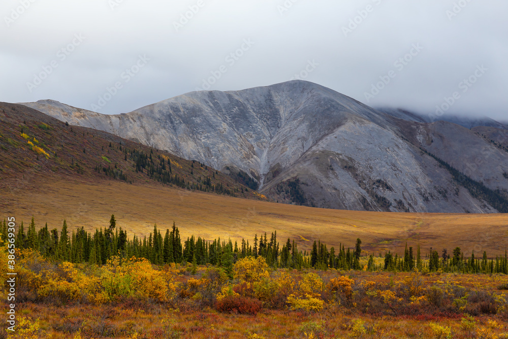 Beautiful View of Scenic Landscape on a Fall Day in Canadian Nature. Taken near Tombstone Territorial Park, Yukon, Canada.