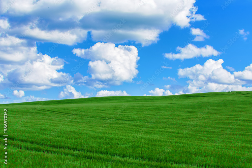 Lush, green landscape with blue sky and clouds. Spring Environment scene Lush, green landscape with blue sky and clouds. Spring Environment scene