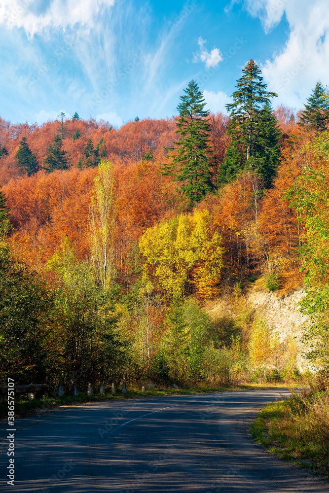 old serpentine road in mountains. beautiful autumn scenery on a sunny day. trees in colorful foliage. countryside journey on a weekend concept