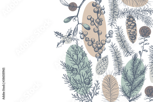 Vector background with hand drawn Christmas plants. Sketch illustration.