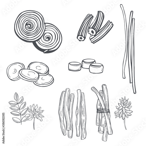 Licorice sweets. Vector   illustration.