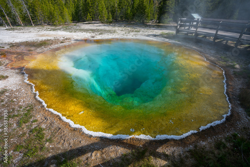 morning glory pool inupper geyser basin in yellowstone national park, wyoming in the usa