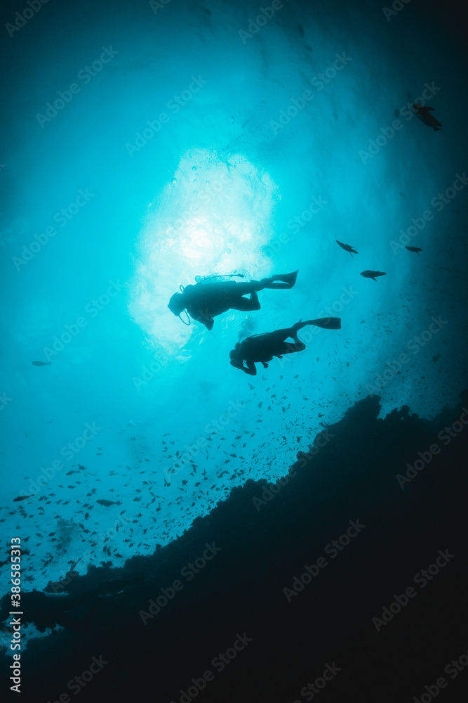 custom made wallpaper toronto digitalScuba diver silhouettes swimming over colorful coral reef in clear blue water