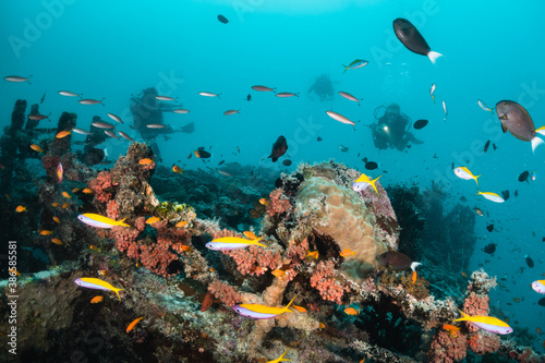 Divers swimming over a shipwreck surrounded by small tropical fish in clear blue water
