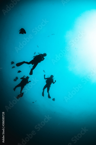 Scuba diver silhouettes swimming over colorful coral reef in clear blue water