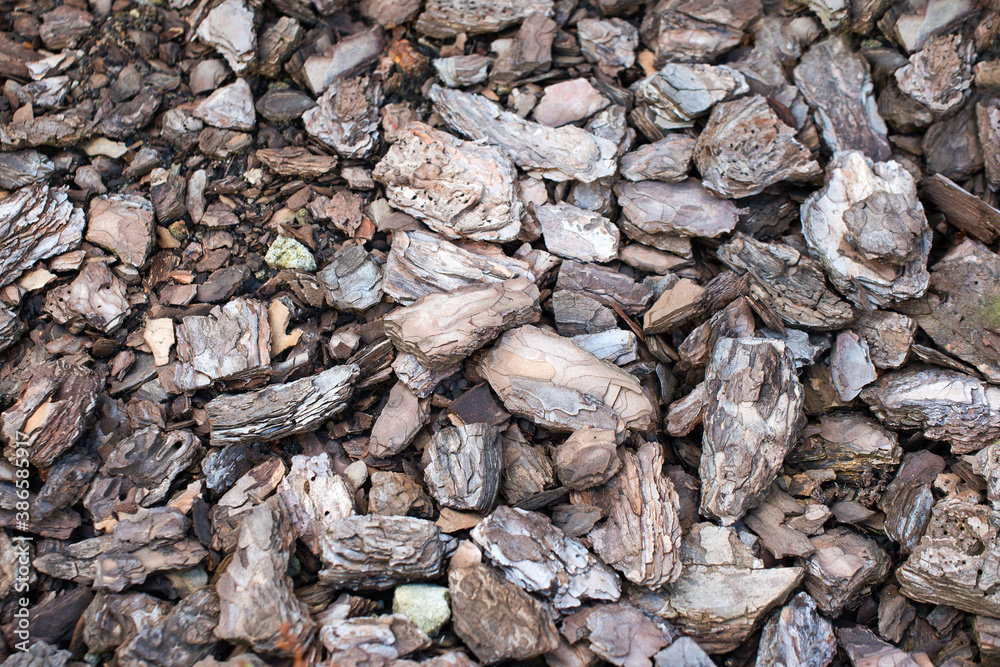 Pieces of pine bark carpeted on the surface of the earth. Brown natural background. Soil mulching in landscape design, selective focus Pieces of pine bark carpeted on the surface of the earth. Brown natural background. Soil mulching in landscape design, selective focus