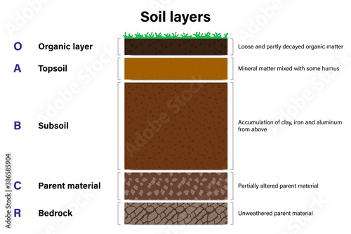 Soil layers diagram, Geological study, Cross section of humus or organic and underground soil layers beneath..