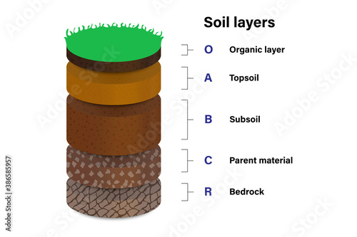 Soil layers for education, Geological study, Diagram showing different layers of soil,Cross section of humus or organic and underground soil layers beneath..