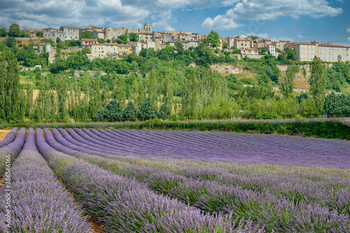 Sault Francia lavanda