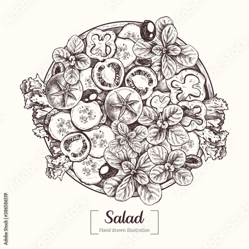 Salad. Corn salad. Lettuce, cherry tomatoes, cucumbers, peppers. Bowl food. Vector Hand Drawn. Sketch Botanical Illustration. Eco healthy food. Superfood.