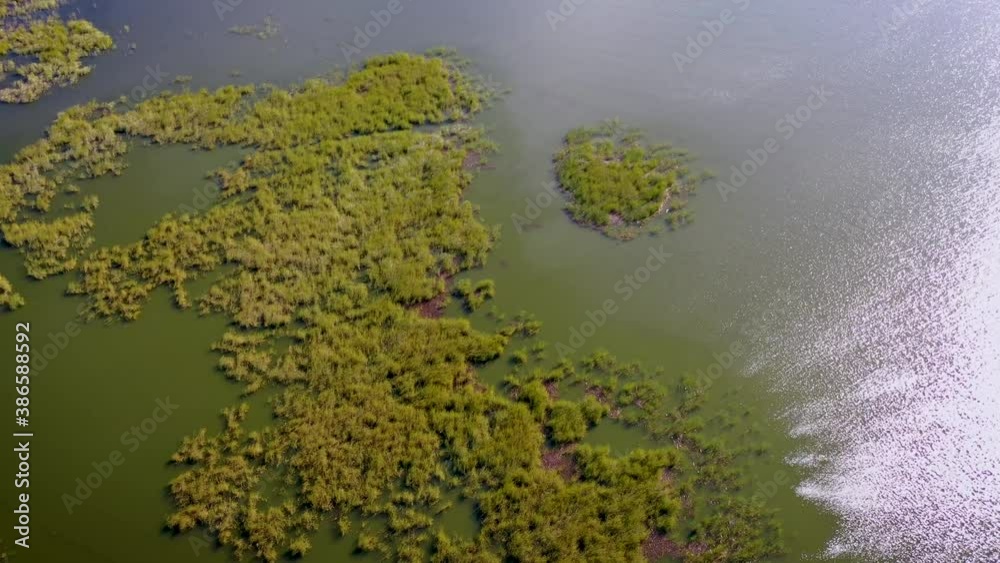 Rushes of Vistula Lagoon in Katy Rybackie on the Vistula Spit in Pomeranian Province of Poland, 4k drone footage Rushes of Vistula Lagoon in Katy Rybackie on the Vistula Spit in Pomeranian Province of Poland, 4k drone footage