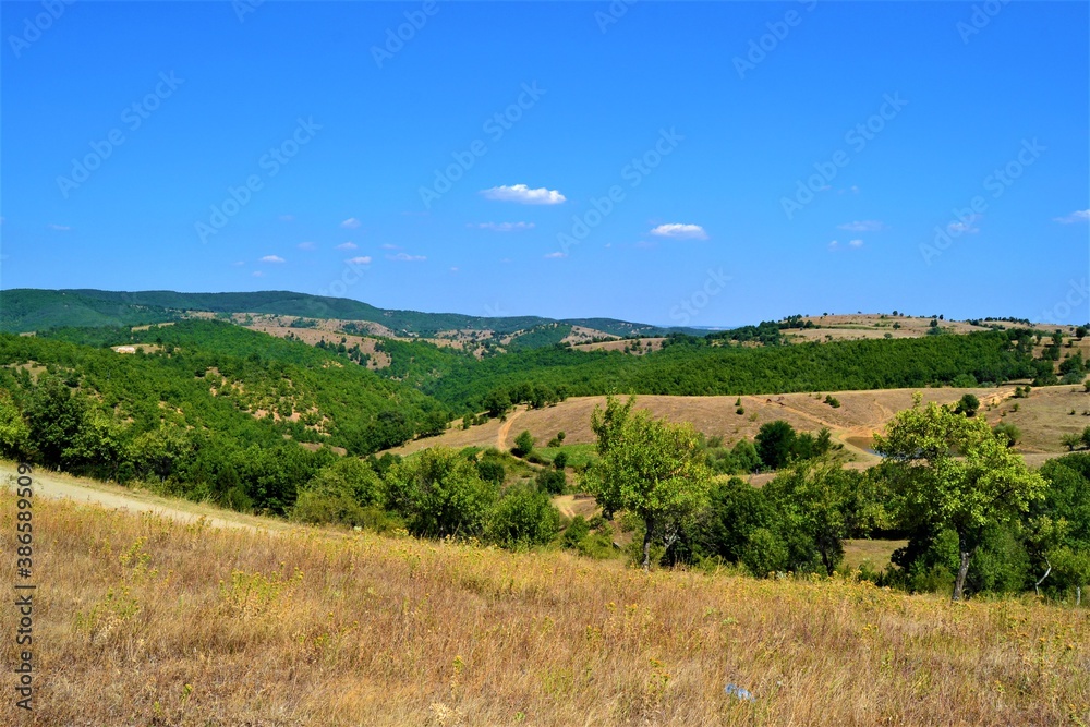 Bulgaria and views from cute and small villages during bright day. Natural land with yellow grass and blue sky and cute white cloud.