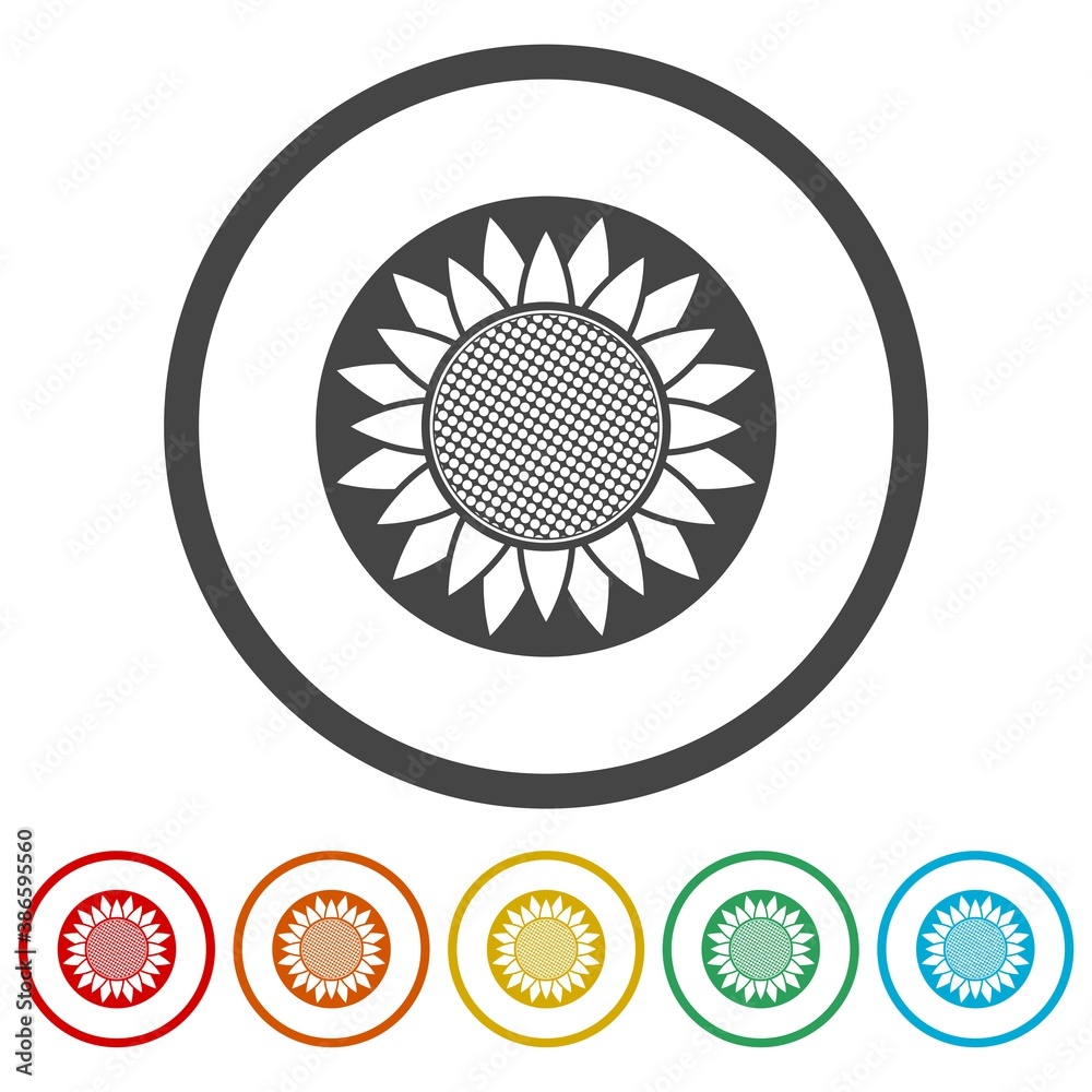 Sunflower ring icon, color set Sunflower ring icon, color set
