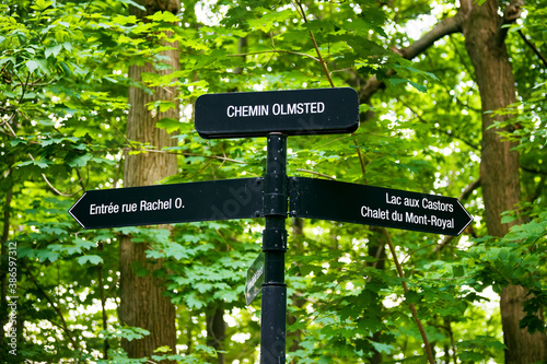 Directional sign post at mount royal park in Montreal, Canada against forest background