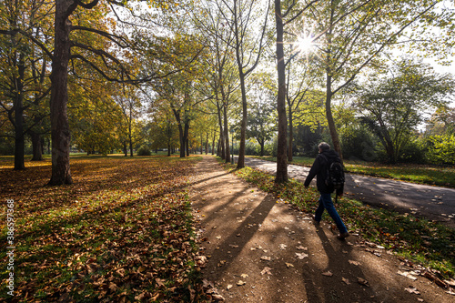 Wallanlagen Mainz im Herbst