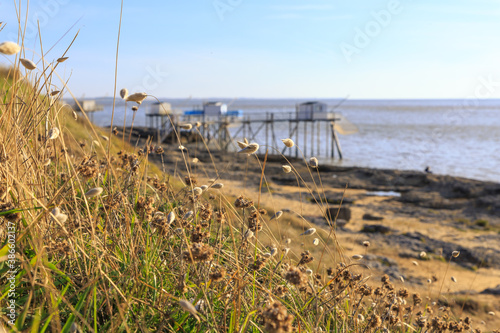 Paysage marin de charente maritime pour week end ,saint palais sur mer photo