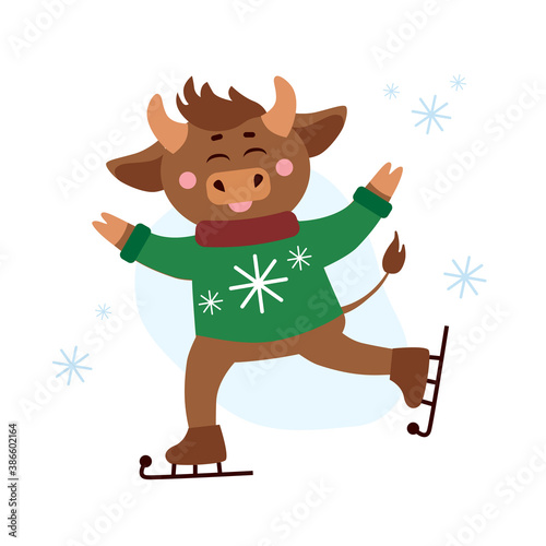 Vector christmas illustration of cow, ox or bull ice skating in ugly sweater around snow flakes. Year of bull 2021 concept. Christmas holidays, xmas illustration