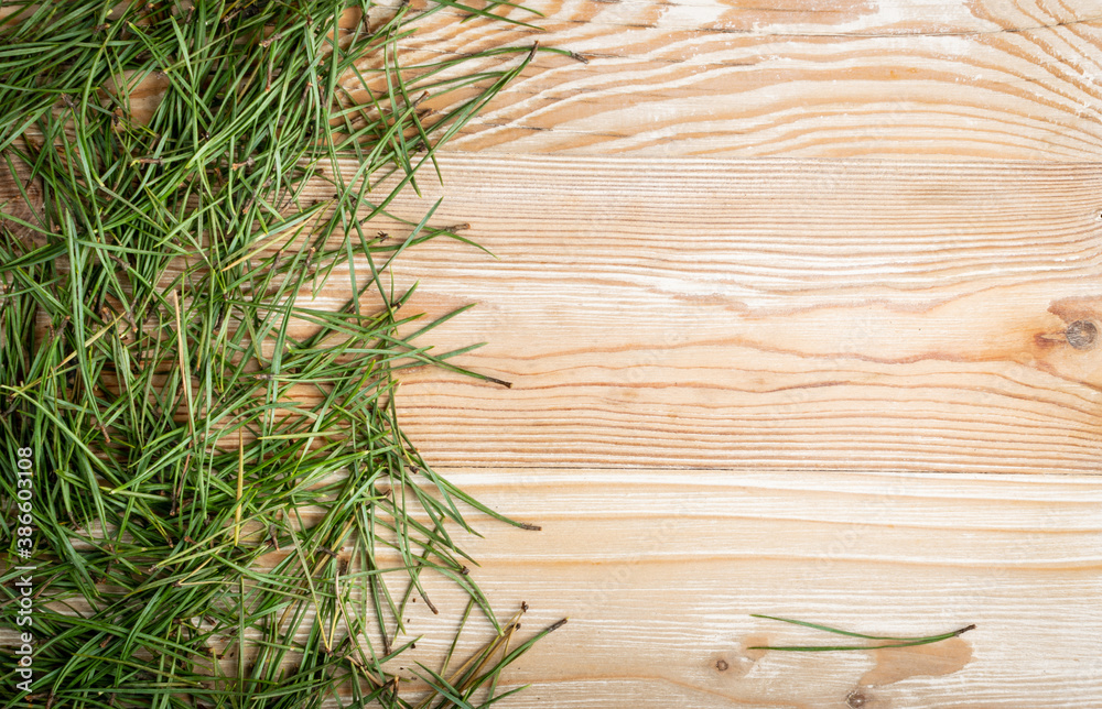 Pine needles texture background, natural needles pattern Pine needles texture background, natural needles pattern