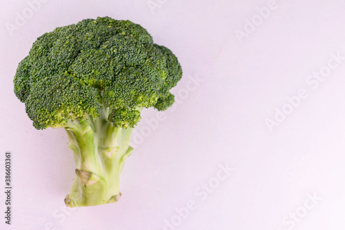 Broccoli Cabbage Isolated White Background Copy Space