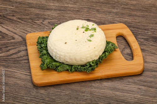 Caucasian suluguni round cheese piece