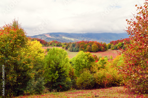 Fall landscape in the mountains. Mountain autumn scene with colorful trees in the forest