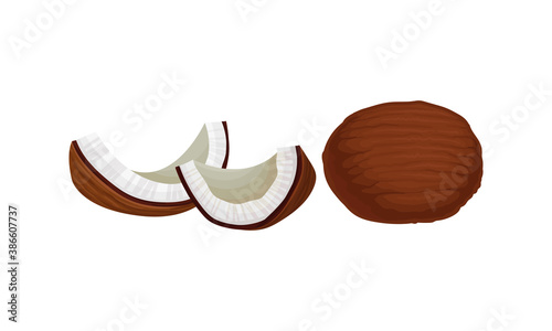 Cracked Coconut with Hard Shell and Fibrous Husk Showing White Inner Flesh Vector Set