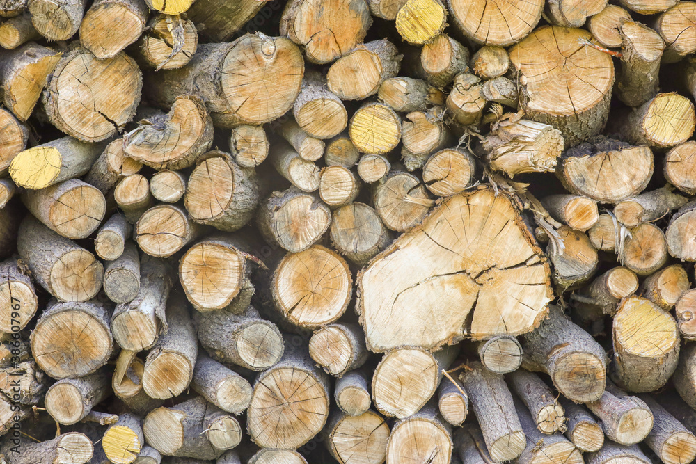 Circular logs of firewood stacked and piled artistically ready to provide warmth for winter. Circular logs of firewood stacked and piled artistically ready to provide warmth for winter.