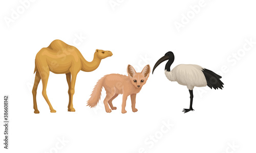 Desert Animals with Camel and Fennec Fox Vector Set