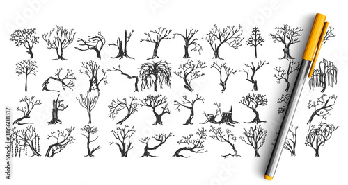 Trees doodle set. Collection of pen pencil ink hand drawn sketche templates patterns of frozen forest plants without leaves. Autumn and cold winter season coming symbols illustration.