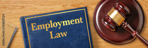 Photography A gavel with a law book - Employment Law