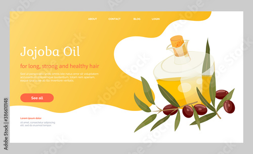Glassware golden liquid, jojoba oil. Branch with green leaves and brown drupes near glass bottle, vessel. Information about aromatic product used in dermatology and cosmetology. Vector illustration