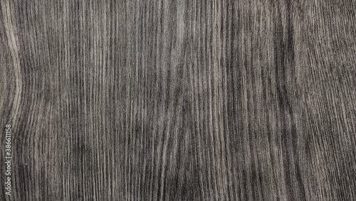Gray textured surface of tree bark