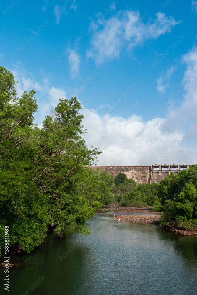 Fototapeta premium Water flowing through a Dam with Trees on the bank