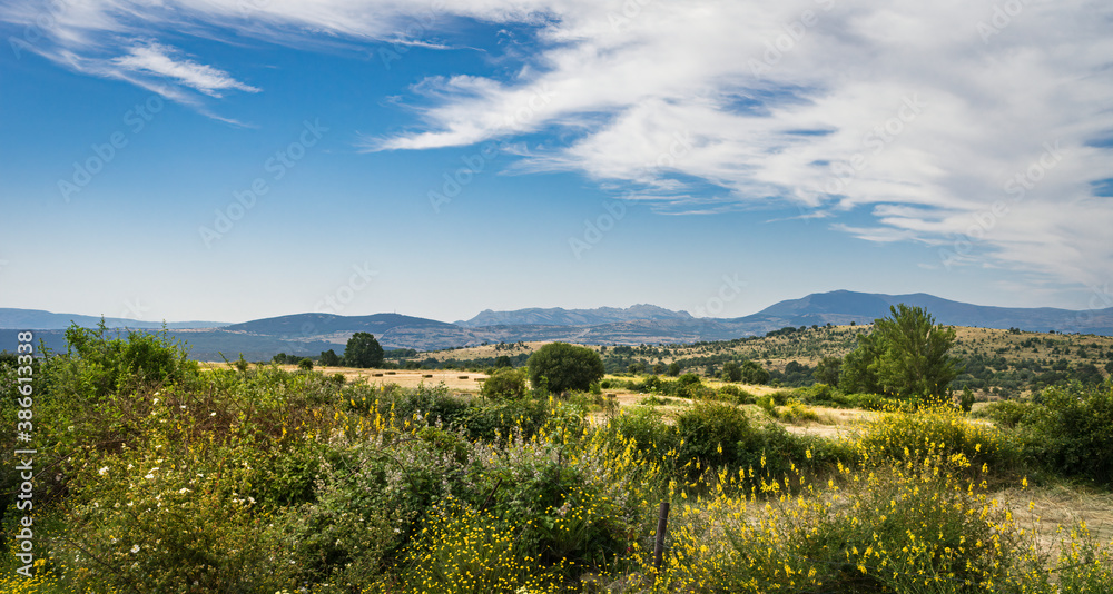 Obraz premium Panoramic view in late spring of the rural area of ​​the town of Braojos in Madrid with blue sky and white clouds.