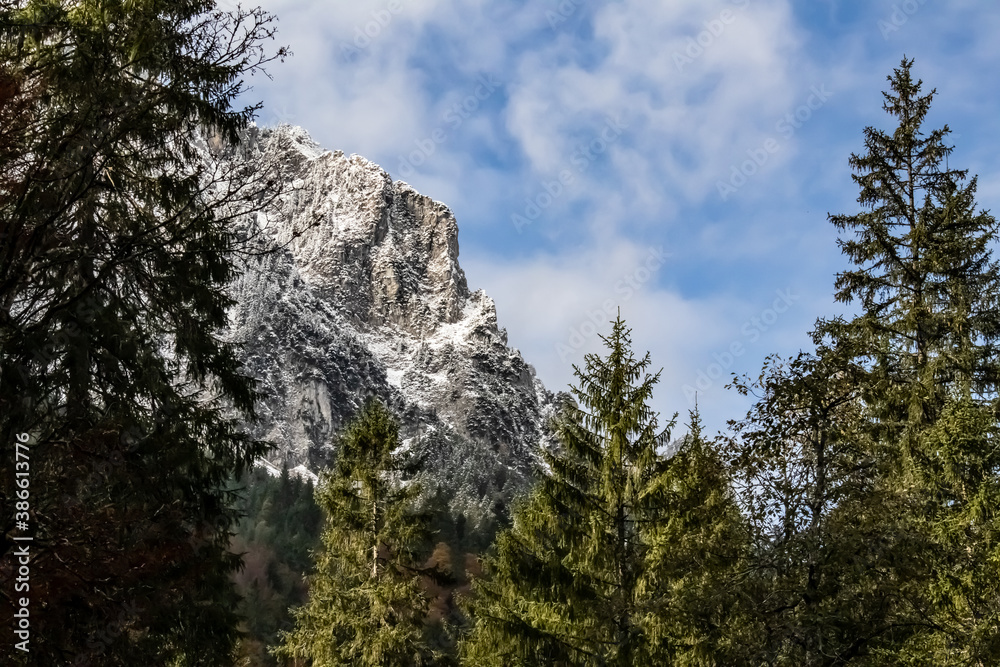 Obraz premium Alpen Panorama mit schneebedeckten Gipfeln, herbstlicher Bergwald bei Füssen, König Ludwig Schlösser
