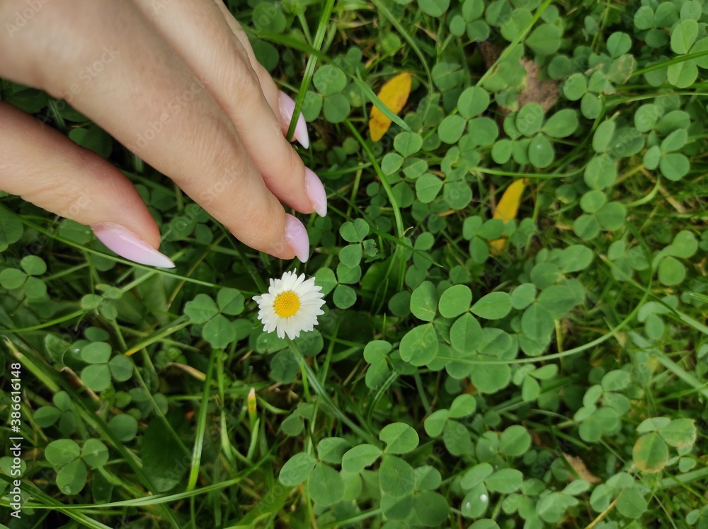 hand with flower