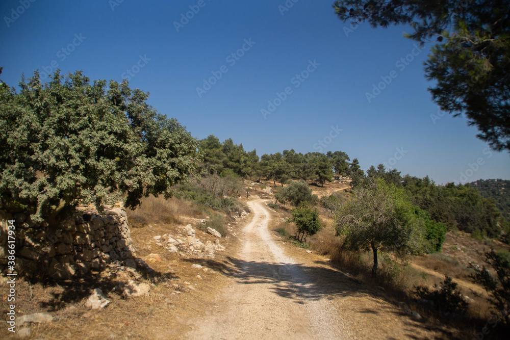 Naklejka premium Dirt road on the Mountain of Winds, Ein Nataf, Jerusalem area, at day.