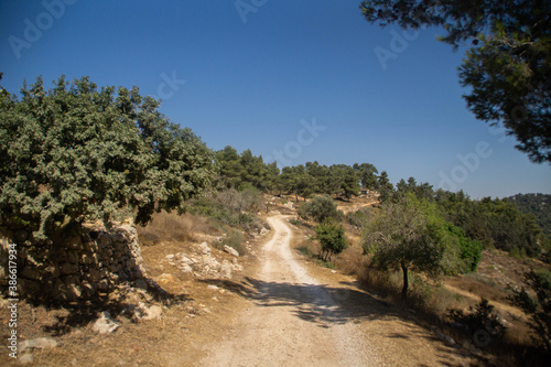 Dirt road on the Mountain of Winds, Ein Nataf, Jerusalem area, at day.
