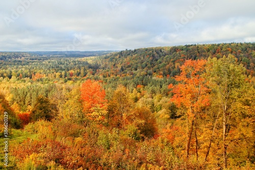 Autumn in the Gauja National Park in Latvia, Baltic States, Europe