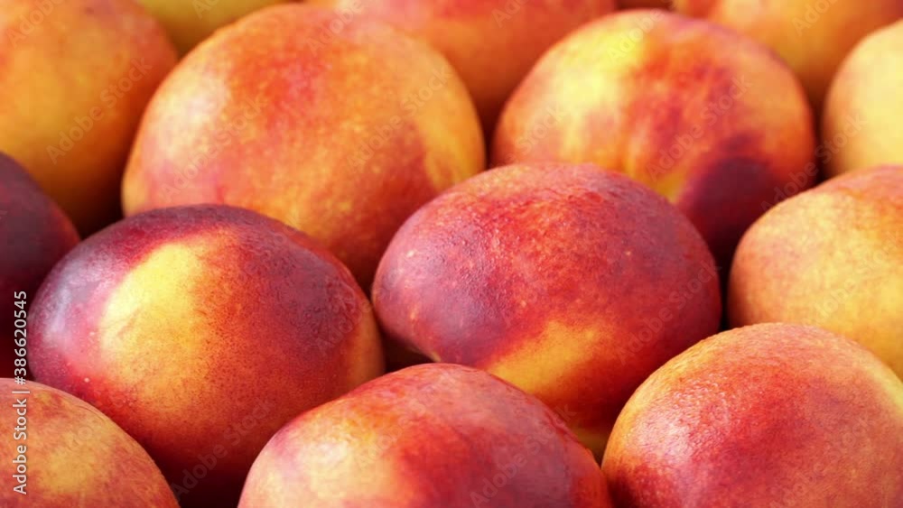 Close up of fresh ripe nectarine with water drops rotate on tray. Harvest time. Healthy and organic fruits concept. Vegan Food background
