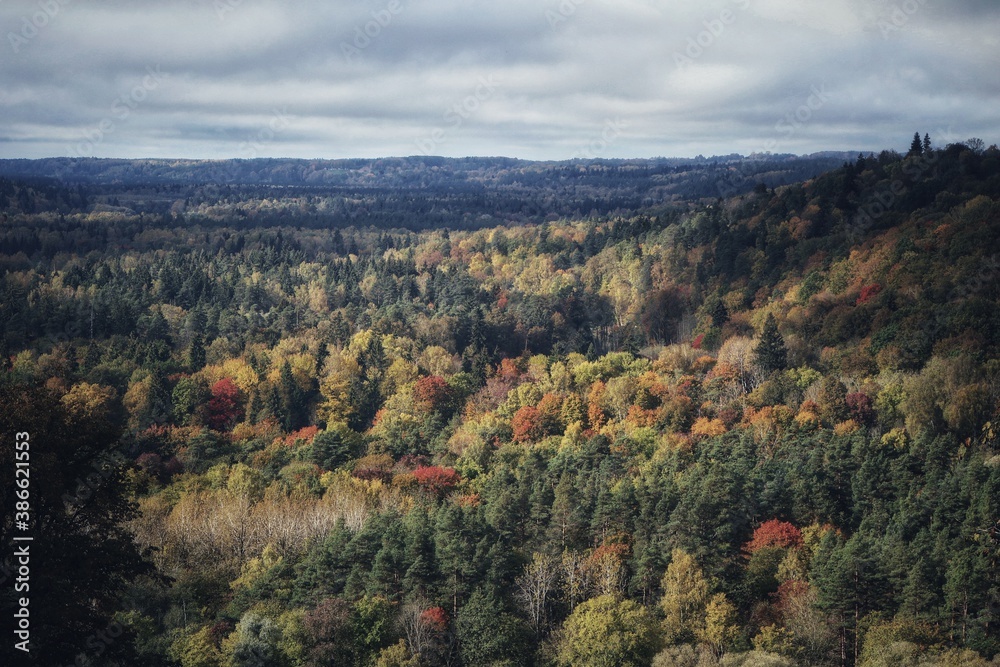 Autumn in the Gauja National Park in Latvia, Baltic States, Europe