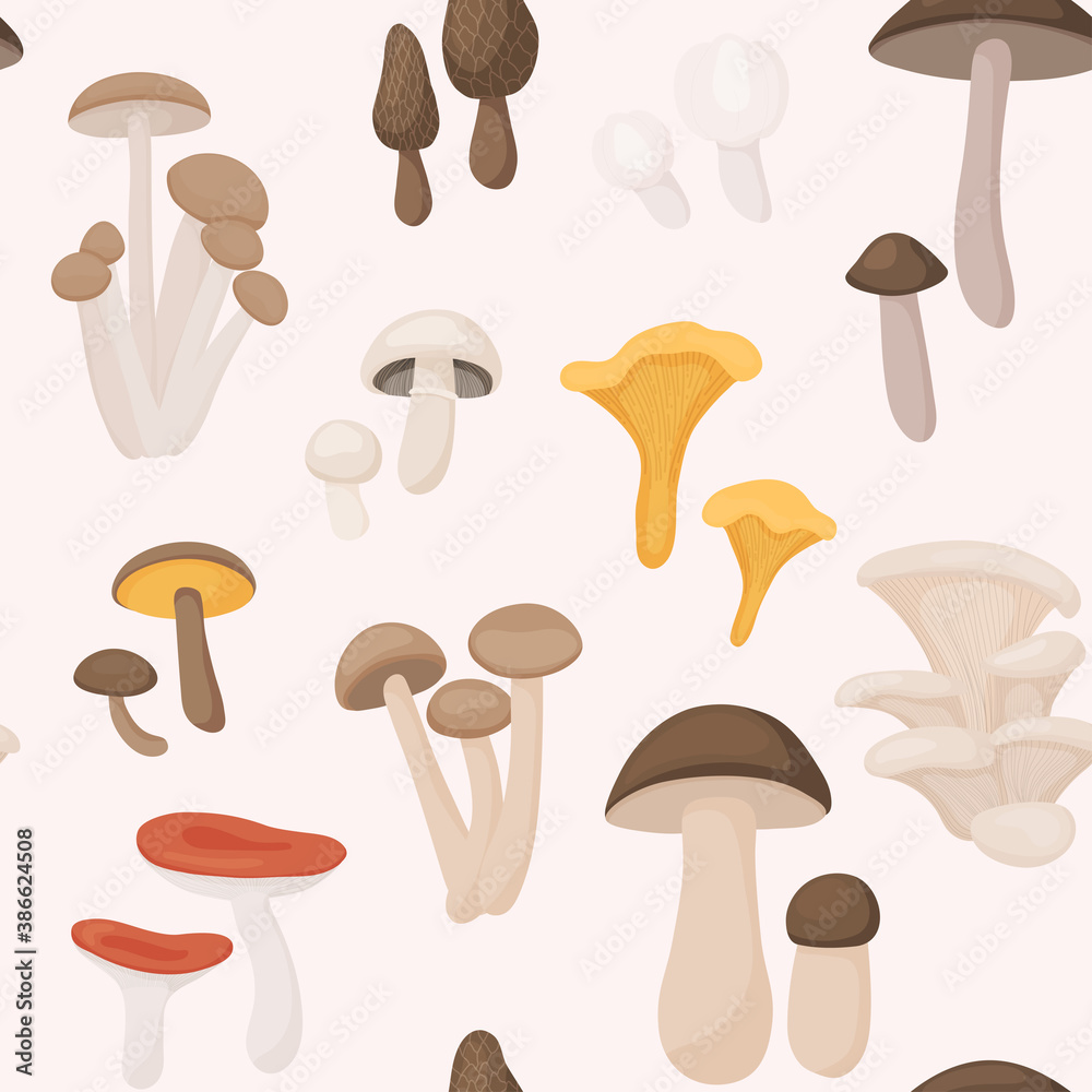 Large Mushroom set of vector illustrations in flat design isolated on white. Seamless pattern. Large Mushroom set of vector illustrations in flat design isolated on white. Seamless pattern.